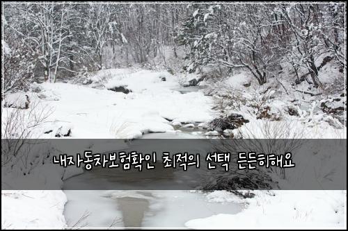 내자동차보험확인 최적의 선택 든든히해요