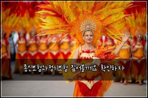 종신보험과정기보험 짚어볼께요 확인하자