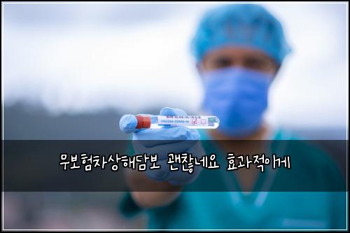 무보험차상해담보 괜찮네요 효과적이게