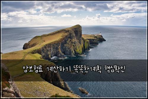 암보험료 계산하기 똑똑한계획 핵심확인