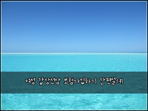 ์ฌ์ฑ ๊ฐ์์ ์ ๋ณดํ๊ฐ์
ํ๊ธฐ ๊ฐํธ์ค๊ณ