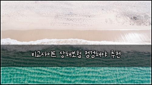๋น๊ต์ฌ์ดํธ ์ํด๋ณดํ ์ ๊ฒํด์ผ ์ถ์ฒ