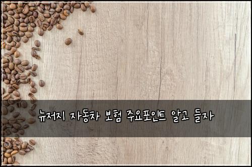 뉴저지 자동차 보험 주요포인트  알고 들자
