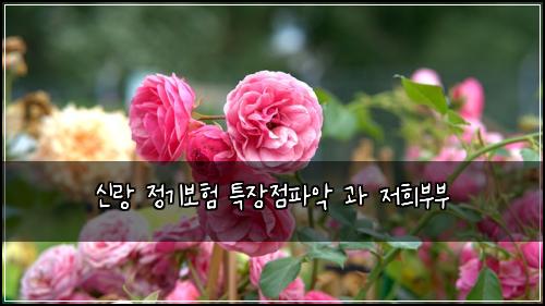 ์ ๋ ์ ๊ธฐ๋ณดํ ํน์ฅ์ ํ์
๊ณผ ์ ํฌ๋ถ๋ถ