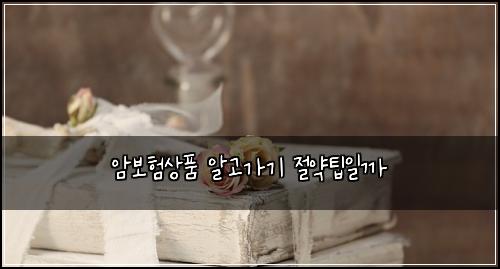 암보험상품 알고가기 절약팁일까