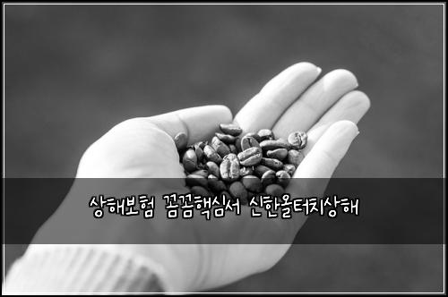 ์ํด๋ณดํ ๊ผผ๊ผผํต์ฌ์ ์ ํ์ฌํฐ์น์ํด