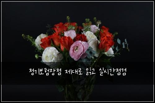 정기보험장점 제대로 읽고 실시간점검