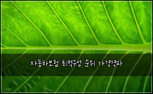 ์๋์ฐจ๋ณดํ ์ต์ ๊ตฌ์ฑ ์์ ๊ฐ๊ฒฉ๊ฒฉํ