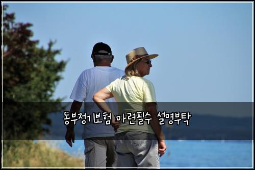 동부정기보험 마련필수  설명부탁