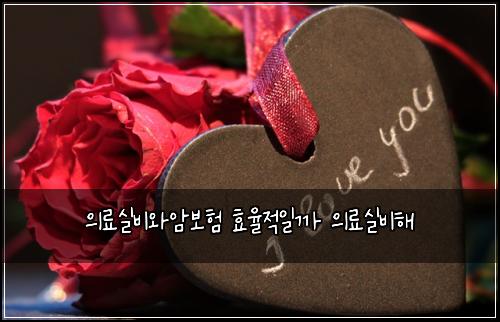 ์๋ฃ์ค๋น์์๋ณดํ ํจ์จ์ ์ผ๊น ์๋ฃ์ค๋นํด