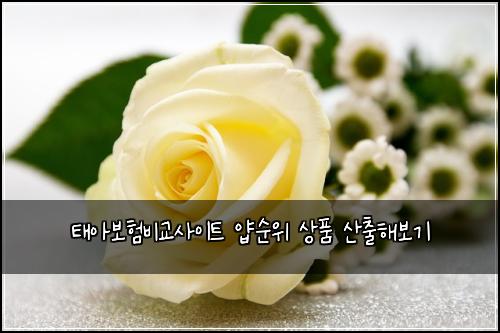 태아보험비교사이트 얍순위 상품 산출해보기
