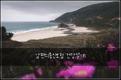 λ¨νΈμμ’
μ 보ν 건κ°μ€κ³