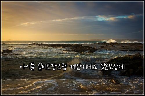 ์์ด๋ค ์ค๋น๋ณด์ฅ๋ณดํ ๊ณ์ฐ๊ธฐ์์ ์ค์๋ณด์์
