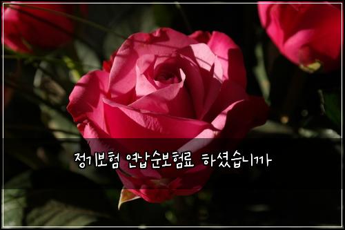 정기보험 연납순보험료 하셨습니까