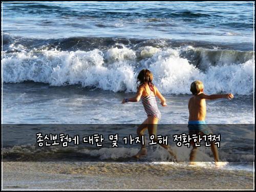 종신보험에 대한 몇 가지 오해 정확한견적