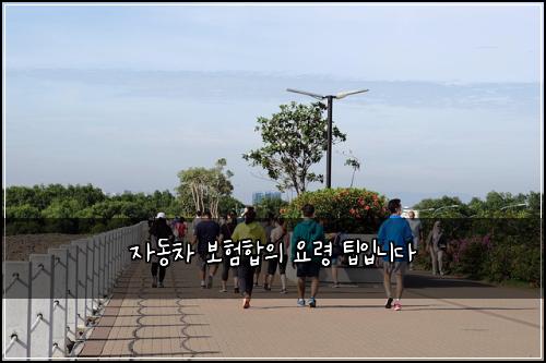 자동차 보험합의 요령 팁입니다
