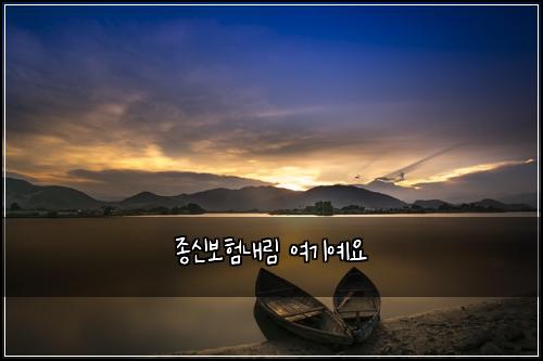 종신보험내림 여기예요