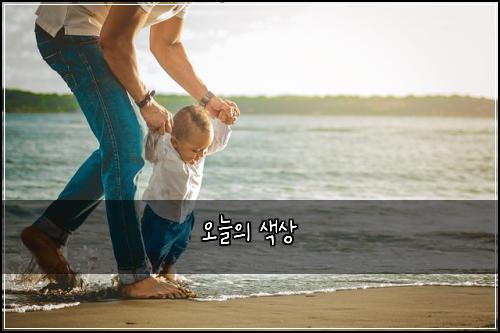 오늘의 색상