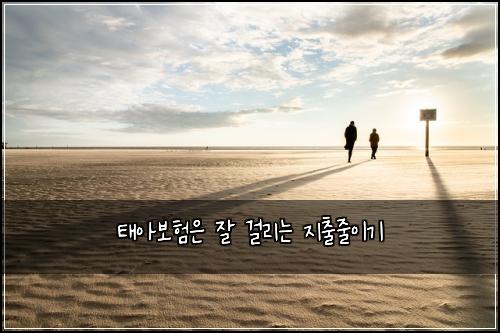 태아보험은 잘 걸리는 지출줄이기