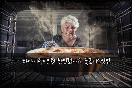 차다이렉트보험 확인했나요  굿초이스방법