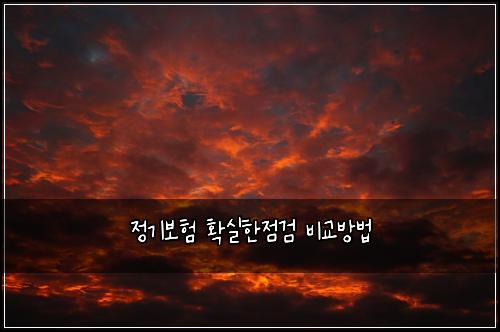 정기보험 확실한점검 비교방법