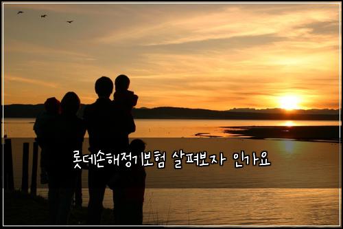 롯데손해정기보험 살펴보자  인가요