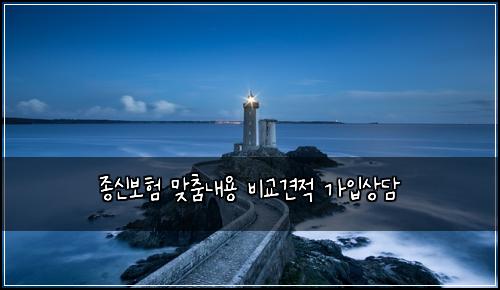 μ’
μ 보ν λ§μΆ€λ΄μ© λΉκ΅κ²¬μ κ°μ
μλ΄