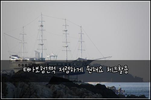 태아보험견적 저렴하게 원해요 체크활용