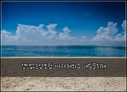 갱신없는암보험 따라해봐요  내일을위해