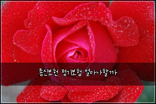 ์ข
์ ๋ณดํ ์ ๊ธฐ๋ณดํ ์ผ๋ง๋ํ ๊น