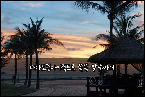 ํ์๋ณดํ๋ค์ด๋ ํธ๋ก ์์ ์๋ฐ์ธ๊ฒ