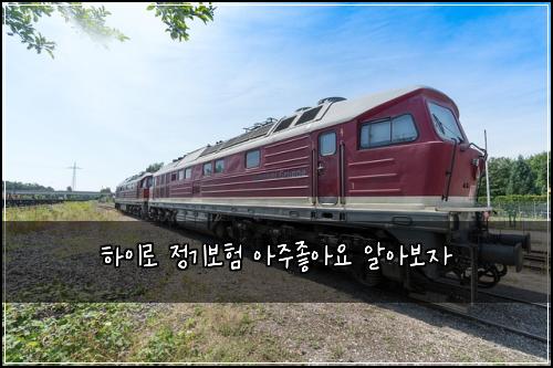하이로 정기보험 아주좋아요  알아보자