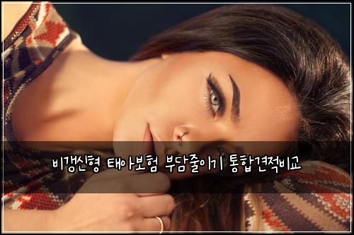 비갱신형 태아보험 부담줄이기  통합견적비교