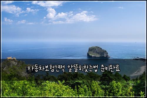 ์๋์ฐจ๋ณดํ๊ฒฌ์ ์๋ฐํ์ฐพ๋๋ฒ ์ค๋น์๋ฃ