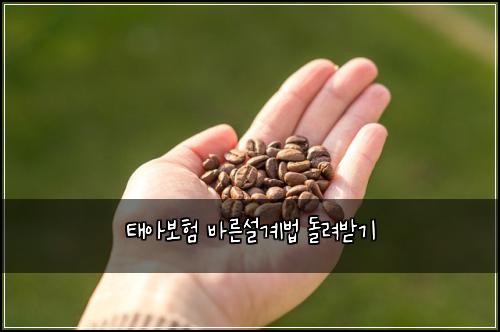 ํ์๋ณดํ ๋ฐ๋ฅธ์ค๊ณ๋ฒ ๋๋ ค๋ฐ๊ธฐ