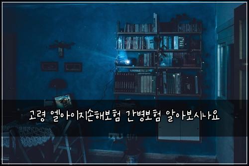 고령 엘아이지손해보험 간병보험 알아보시나요
