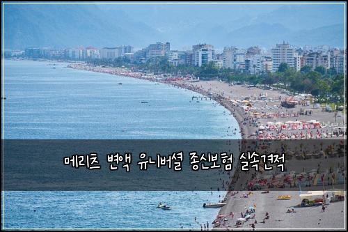 메리츠 변액 유니버셜 종신보험 실속견적 