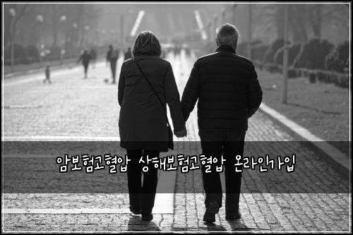 암보험고혈압 상해보험고혈압 온라인가입