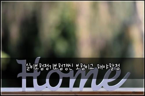 실비보험정기보험갱신 보험비교 해야할점