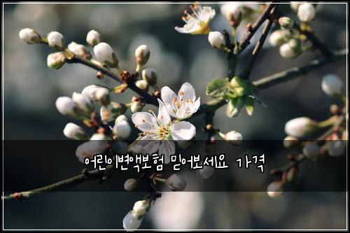 어린이변액보험 믿어보세요  가격