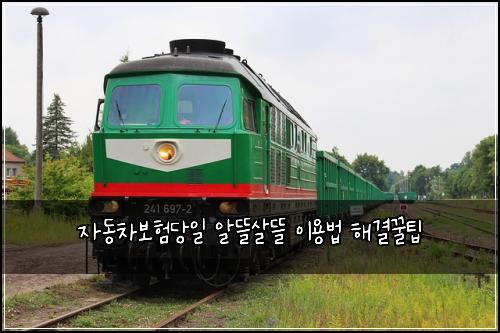 자동차보험당일 알뜰살뜰 이용법 해결꿀팁