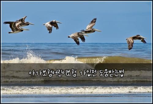 아가보험어린이보험 가입전 도움받는법