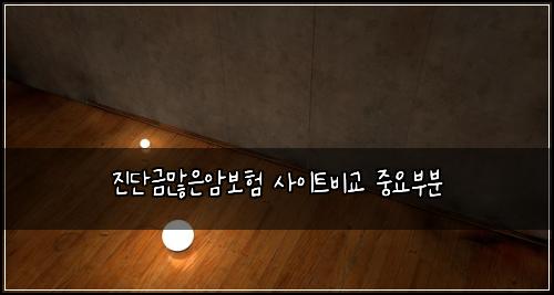 ์ง๋จ๊ธ๋ง์์๋ณดํ ์ฌ์ดํธ๋น๊ต ์ค์๋ถ๋ถ