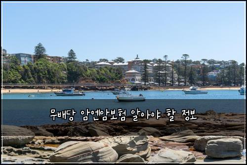 무배당 암엔암보험 알아야 할 정보