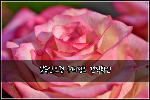 실속암보험 구체정보  견적확인