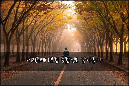 메리츠태아보험 종합정보  알아볼까