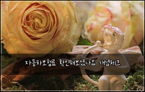 자동차보험료 확인해보셨나요 개념체크
