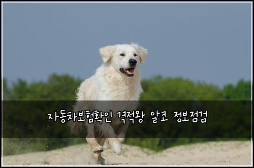μλ차보ννμΈ κ²©μ μ μμ½ μ 보μ κ²