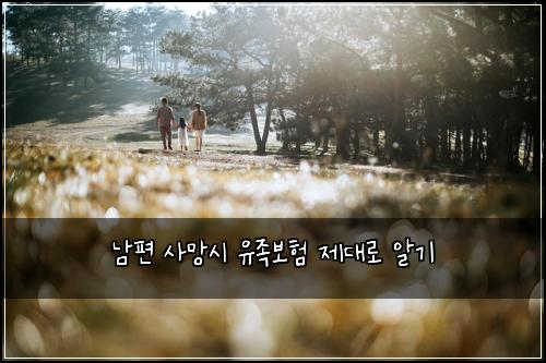 남편 사망시 유족보험 제대로 알기