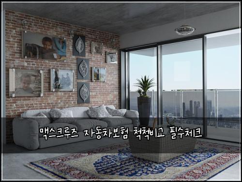 λ§₯μ€ν¬λ£¨μ¦ μλ차보ν μ²μ²λΉκ΅ νμ체ν¬